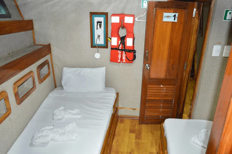 Lower deck — photo 32 of 53