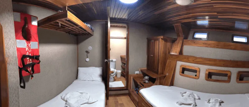 Lower deck — photo 19 of 53