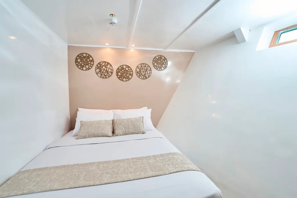 Single Cabin Lower Deck — photo 11 of 13