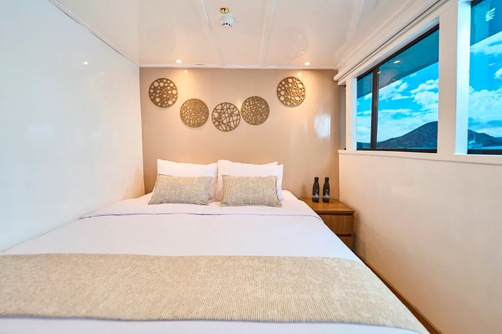 Matrimonial/Twin Cabin Upper Deck — photo 9 of 13