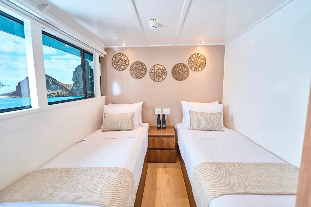 Matrimonial/Twin Cabin Upper Deck — photo 10 of 13